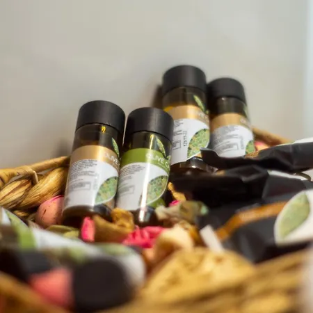 Apartment Skynest Corfu Airport